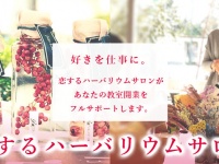 カイト株式会社のプレスリリース画像