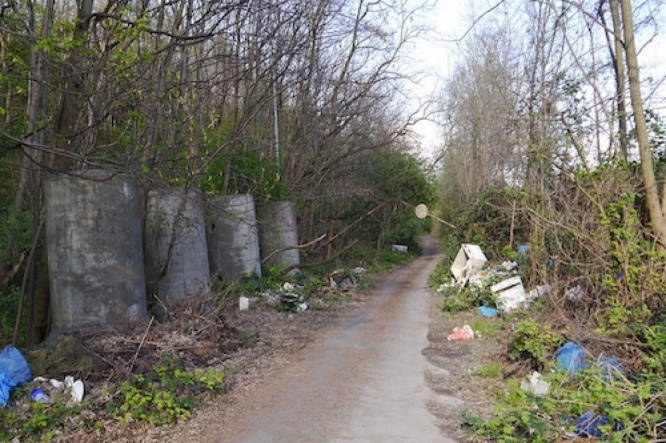 画像はイメージです