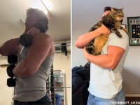 男性が筋肉を鍛えている理由、それは猫。