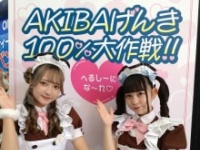 ⒞『AKIBAげんき100%大作戦！！』