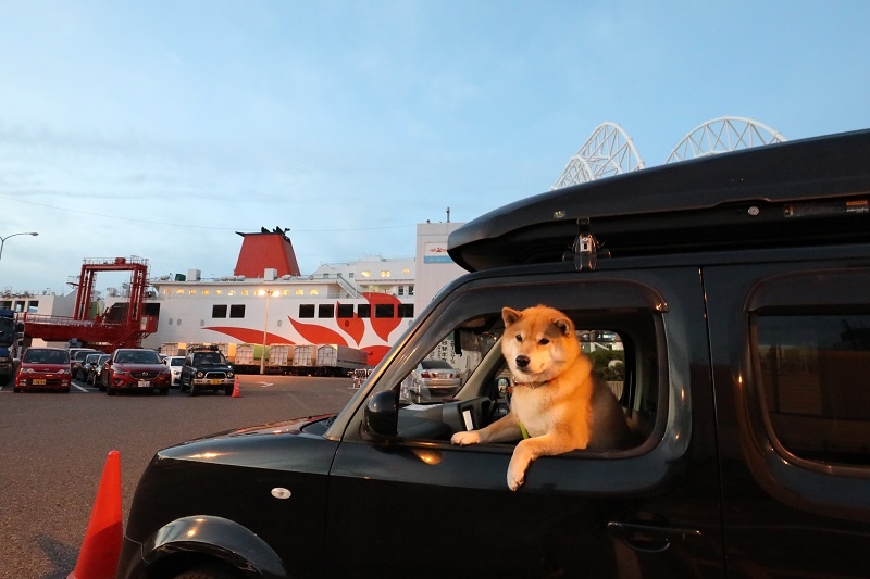 注目のPA、別荘も登場！柴犬まるが紹介する九州ぶらり旅（前編）