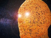 人類は皆兄弟なのか？全人類は20万年前に存在した1組の夫婦の子孫である可能性