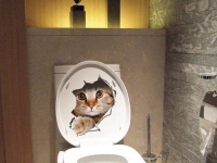 トイレを開けたらいきなり猫！家中を猫に侵略されている気分が味わえる猫ステッカー