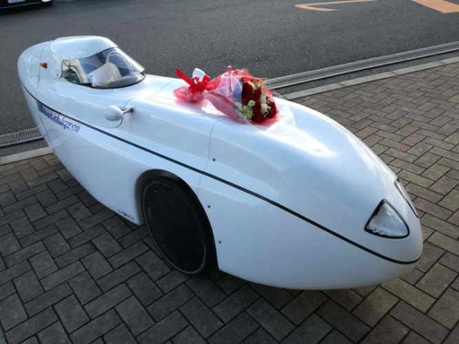 veloart intelligenceのプレスリリース画像