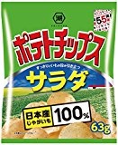 湖池屋 ポテトチップス サラダ 63g×12袋