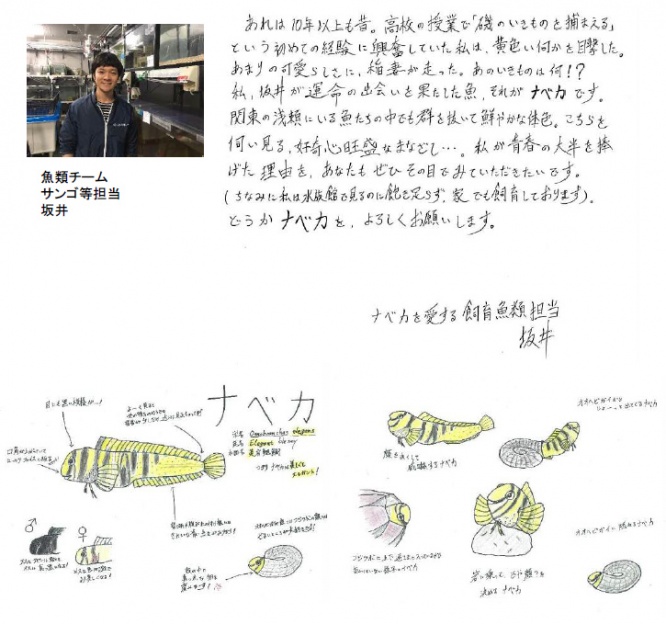 坂井