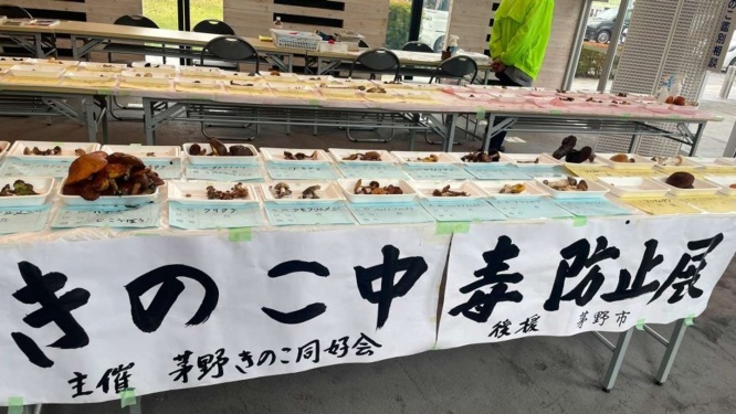 とても分かりやすい展示 