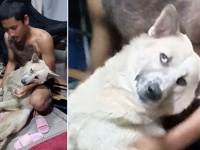 お風呂と言われると体が動かなくなるシステム。お風呂ギライの犬のゴネ技（タイ）
