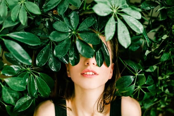 葉っぱに隠れる女性の画像