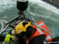 海沿いの崖から90m下に転落した犬。沿岸警備隊がヘリコプターで救助し、奇跡的に軽傷で済む