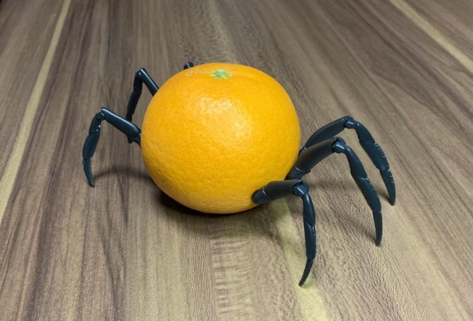 いきなり出くわしたらビビる