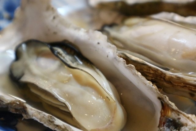 意外と知らない牡蠣の生態