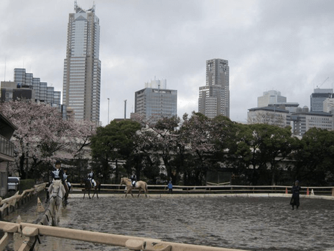 新たな遊びに挑戦！　東京で乗馬体験ができる場所をご紹介！#2
