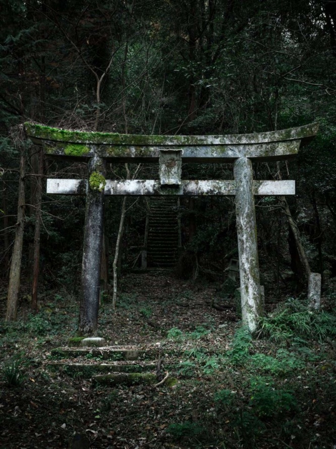 鳥居の先には階段(画像はtoshibo(@JIYUKENKYU_jp)さんのツイートより)