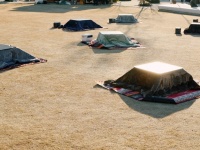 東京・明治公園で〝コタツの群れ〟が野ざらしに　衝撃光景に驚がく...一体なにごと？管理者に聞く