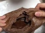 美味しそうなチョコパン♪ を割って食べようとした瞬間、猫がっ…！