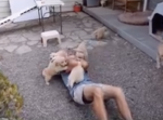 半端ないモフモフ。ゴールデンレトリバーの子犬達が男性を襲う姿が可愛すぎる。