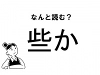 【難読】なんて読む？「些か」の正しい読み方