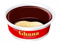 チョコ好きのためのアイス