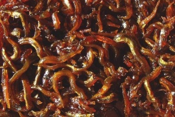 イカナゴの釘煮（Ro-~commonswikiさん撮影、Wikimedia Commons