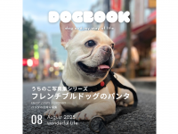 アッカ・コミュニケーションズ合同会社のプレスリリース画像