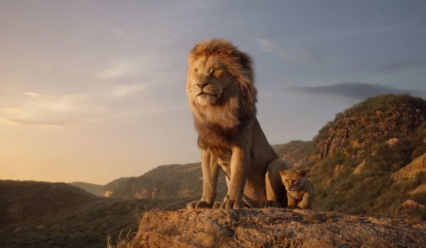 ライオン・キングのような「動物の王」っているの？ ライオンの生態について飼育員さんに聞いてみた！