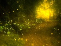 iStock_39513862_SMALL