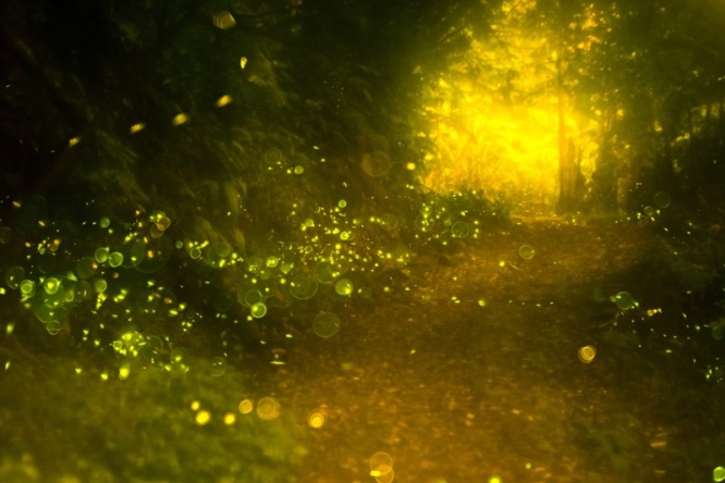 iStock_39513862_SMALL
