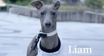 株式会社ローズクリエイトのプレスリリース画像