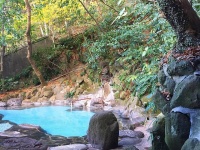旅館の裏山の緑に囲まれた混浴露天