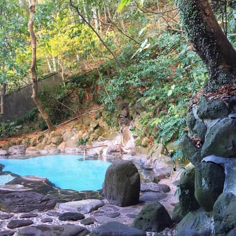 旅館の裏山の緑に囲まれた混浴露天