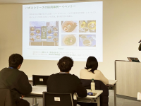 株式会社折兼のプレスリリース画像