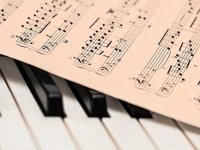 例え馴染みのない音楽でも、人の脳はただの音より音楽に反応することが判明