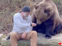 ダメだってば？えーなんで？巨大なクマーとおしゃべりを楽しむ男性