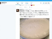 ほのかりん「不倫してない方が珍しい」発言にネット女子ドン引き