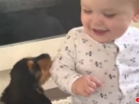 赤ちゃんと子犬の「はじめまして！」究極の和みしかない動画に癒されよう