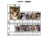 やっぱり赤ちゃんは可愛いですよね