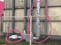 実際にイタズラされたもの（画像は投稿者提供、以下同）