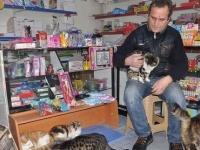 激しい寒さで行き倒れになりそうな野良猫たちを守るため、自分の店を解放した店主（トルコ）