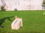 ワンちゃんだけでボール遊びが出来るマシンが画期的。