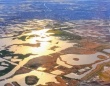 空の上から新潟を見たら...黄金に輝く〝地元の宝〟に感動広がる　「初めて見た」「希望にあふれてる」