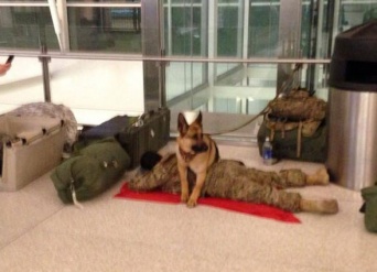 空港で横になり束の間の休息をとる兵士を必死に守ろうとする犬
