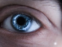 他人の目を見続けると幻覚が現れる！