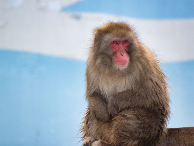 ※画像はイメージです