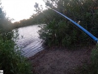 魚を狙っていた男性が、逆に絶対的悪夢に狙われていた件（フロリダ州恒例）