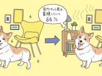 パナソニック株式会社のプレスリリース画像