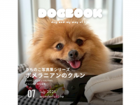 アッカ・コミュニケーションズ合同会社のプレスリリース画像