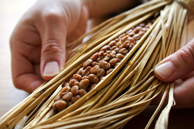 natto1