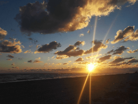 早起きで女子力アップ! 「朝活手帳」を試してみよう!#2