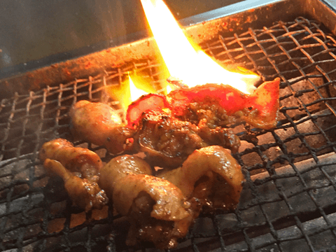 伝統のひつまぶし、伝説のとんちゃんが食べられる名古屋屈指の名店に舌鼓必至!#6
